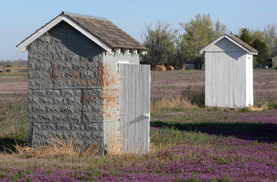 Lone Star School (Rush Co KS), shed and outhouse from SE 1