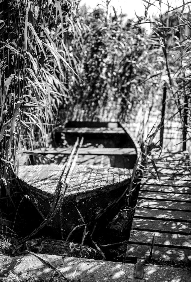 Lone Rowboat (214612025) photo