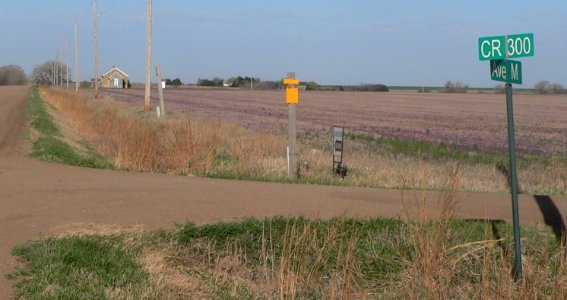 Lone Star School (Rush Co KS) location 1