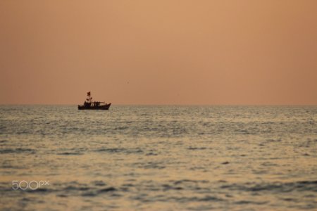 Lone Ship (209626233)