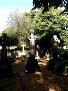 London - Brompton Cemetery, graves, July 2019 (1)