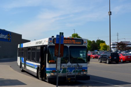 LondonTransitRoute10Bus