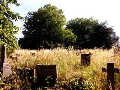 London - Brompton Cemetery, graves, July 2019 (2)