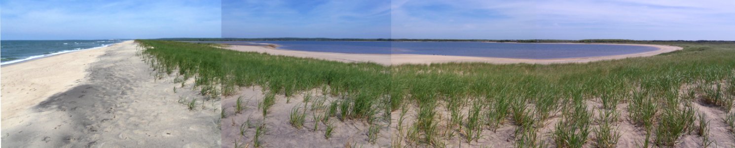 Long Point Wildlife Refuge Tisbury Great Pond Marthas Vineyard June 2021