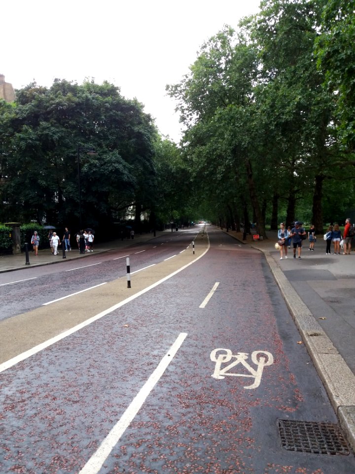London - Birdcage Walk, from the Horse Guards Road