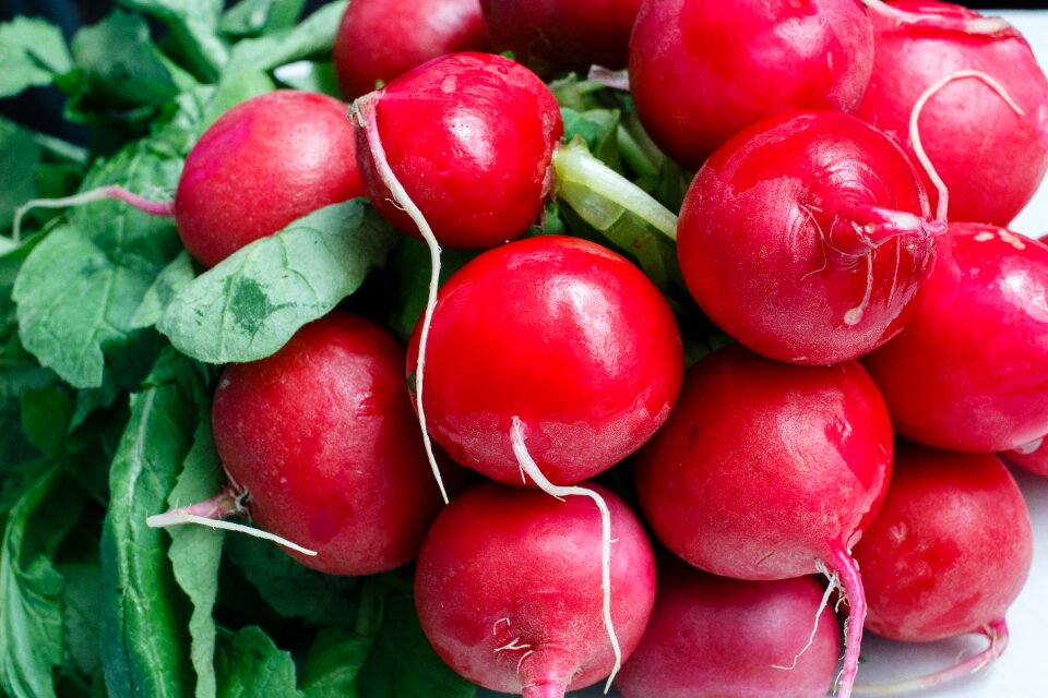 Diet harvest vegetable garden