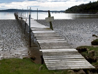 Long jetty in Gullmarsvik