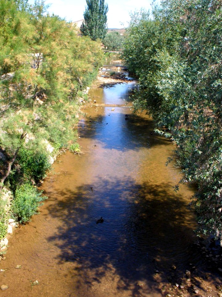 Los Arcos (Navarra) - Río Odrón 1