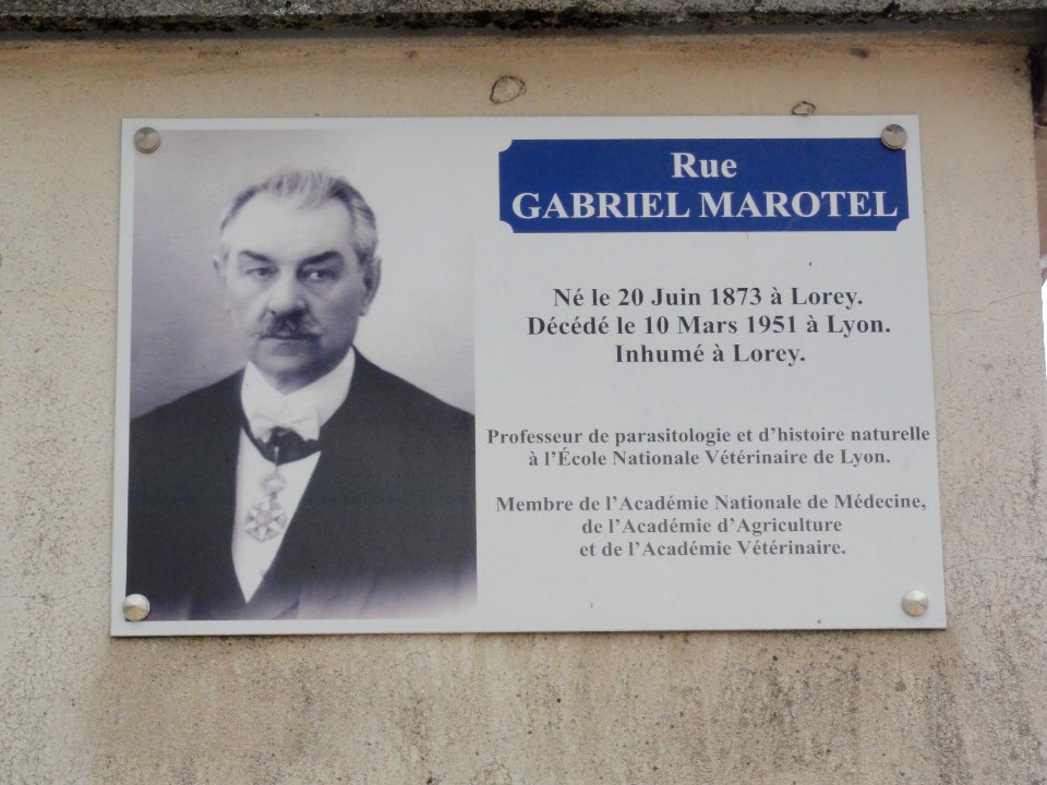 Lorey (M-et-M) plaque Rue Gabriel Marotel