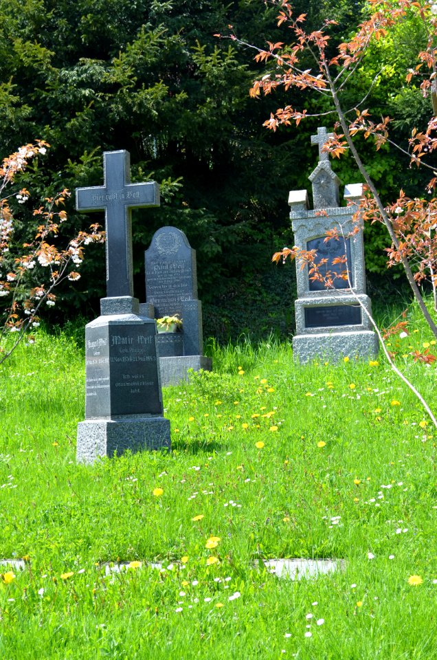 Lorsbach, Alter Friedhof, Gräber
