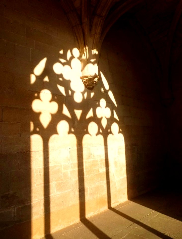 Los Arcos - Iglesia de Santa María, claustro 19
