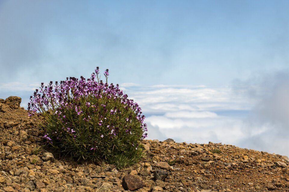 View nature hiking