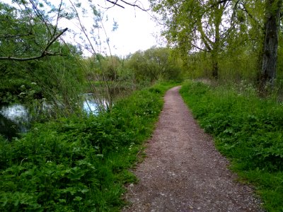 Lord's Walk 3