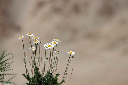Natural environment mountain