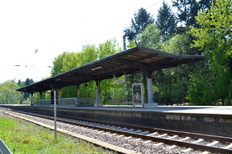 Lorsbach, Bahnhof (2)
