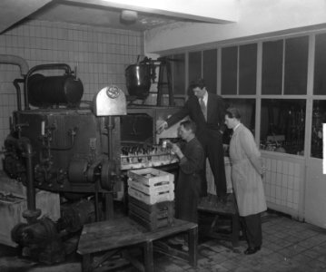 Luc van Dam (bokser) werkzaam in limonadefabriek, Bestanddeelnr 903-2838
