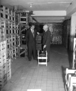 Luc van Dam (bokser) werkzaam in limonadefabriek, Bestanddeelnr 903-2843