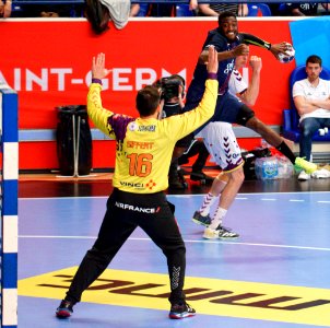 Luc Abalo 20170401