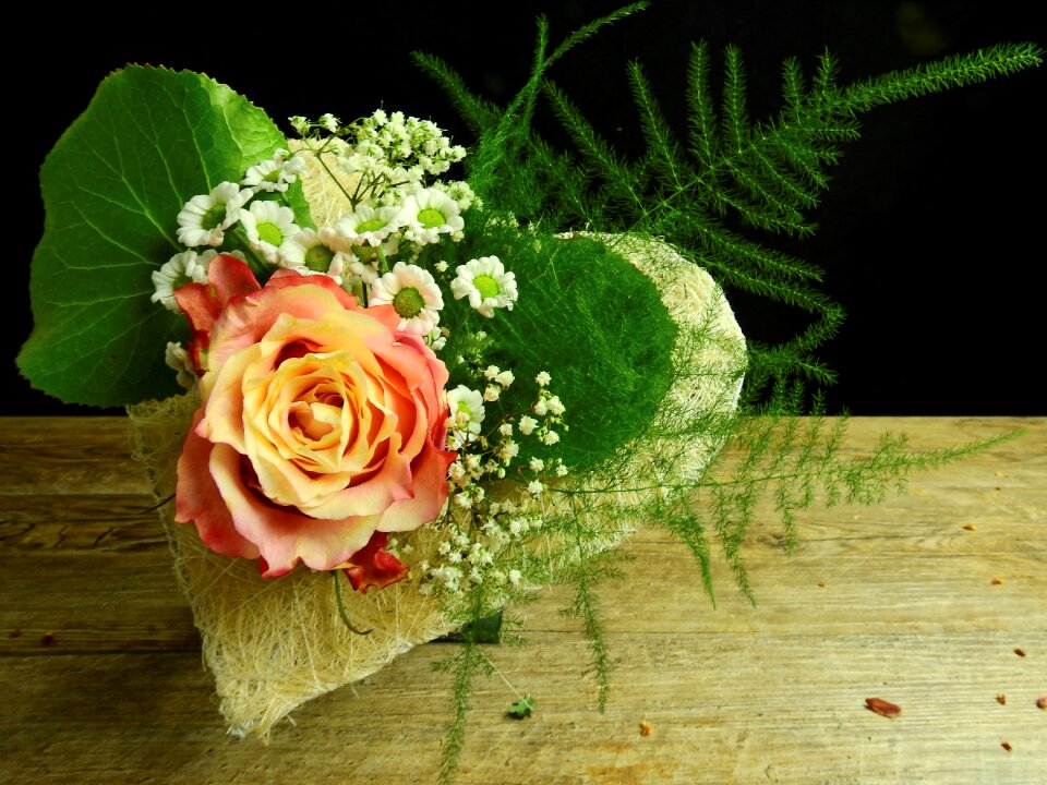 Flower blossom bloom
