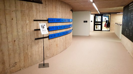 Louvain-la-Neuve-Mois international de la contribution francophone 2018 (3)