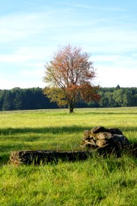LSG Westerwaelder Seenplatte Steinen.jpg (02)