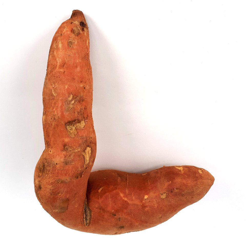 L-shaped sweet potato 2017 A1