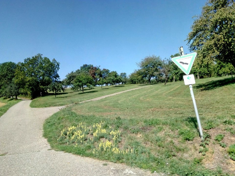 LSG Brettener Kraichgau, Teilgebiet Weinberg Dürrenbüchig