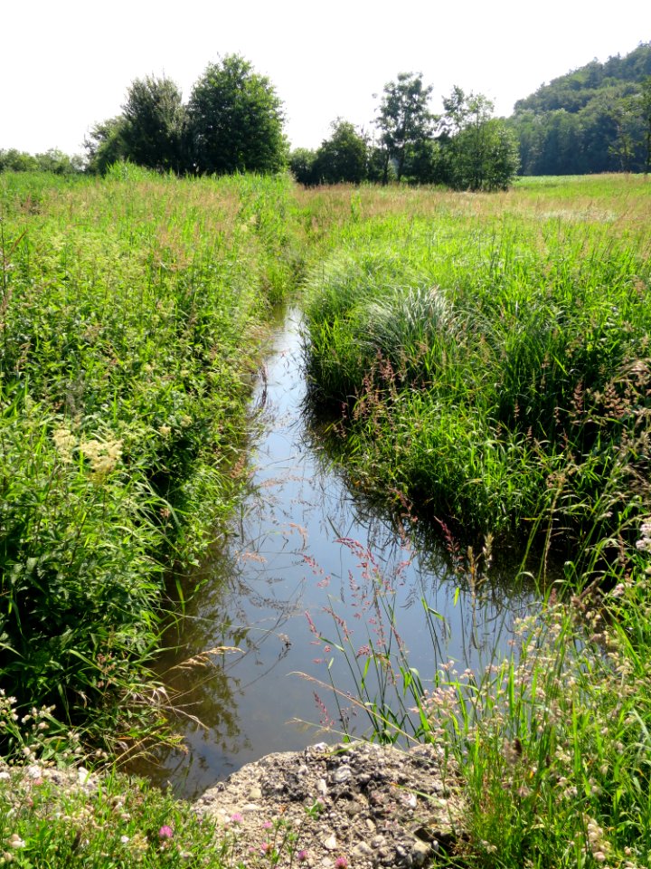 LSG Osterwiese Tüßling 2