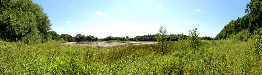 LSG Hartwick-Berkel in Gescher