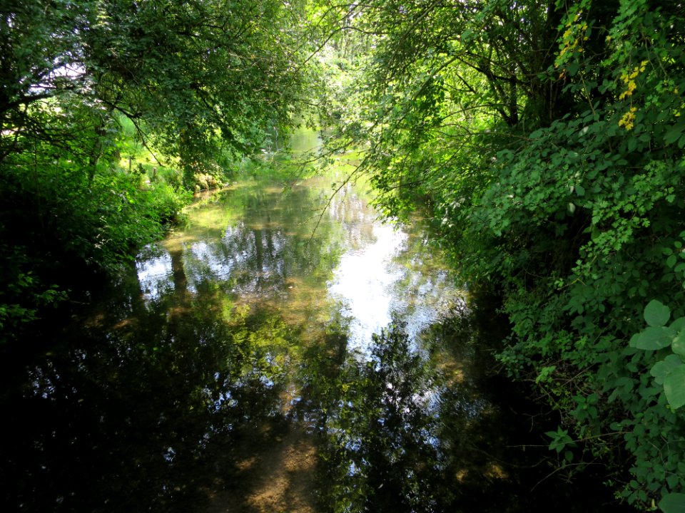 LSG Osterwiese Tüßling 4
