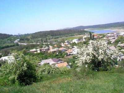 LozovoeCrim 17