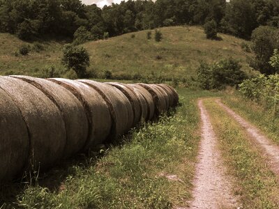 Farm field haystack