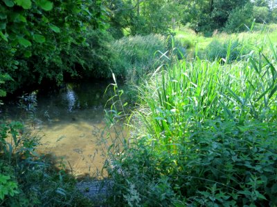 LSG Osterwiese Tüßling 1