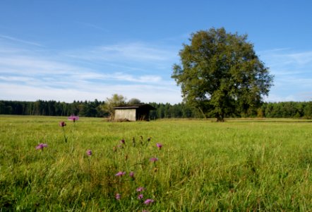 LSG Westerwaelder Seenplatte Steinen