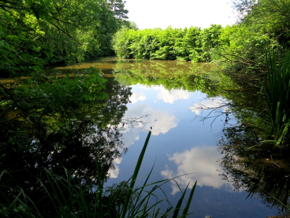 LSG Osterwiese Tüßling 6