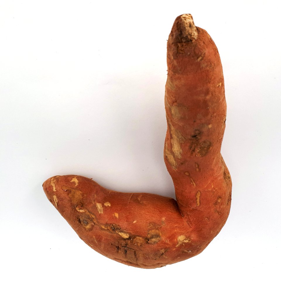 L-shaped sweet potato 2017 A2