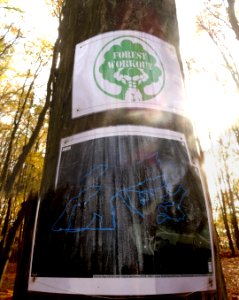 LPKiW ForestWorkout p3