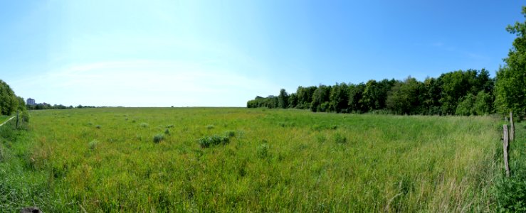 LSG.Diedersdorfer.Heide.Grossbeerener.Graben.P1021758