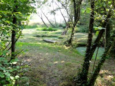 Lucey (Meurthe-et-M.) Les roises (06)