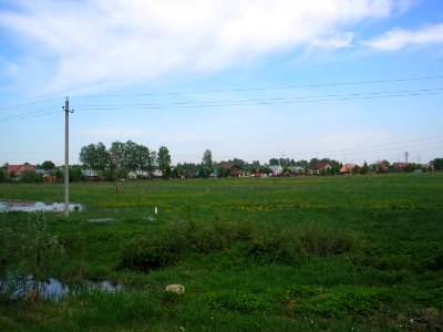 Luchinskoe (Istrinsky District) 4