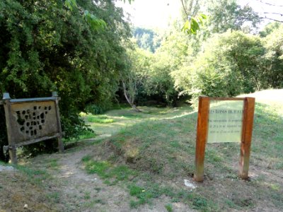 Lucey (Meurthe-et-M.) Les roises (01)