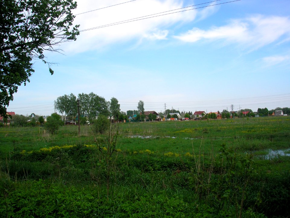 Luchinskoe (Istrinsky District) 5