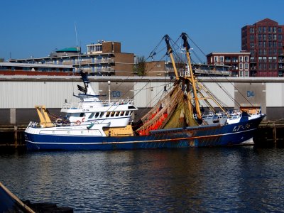 LT-36 Margriet, (ship, 2004), IMO 9284166 at IJmuiden
