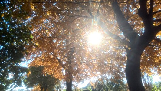 Lto-goldener-oktober-wiesental-01