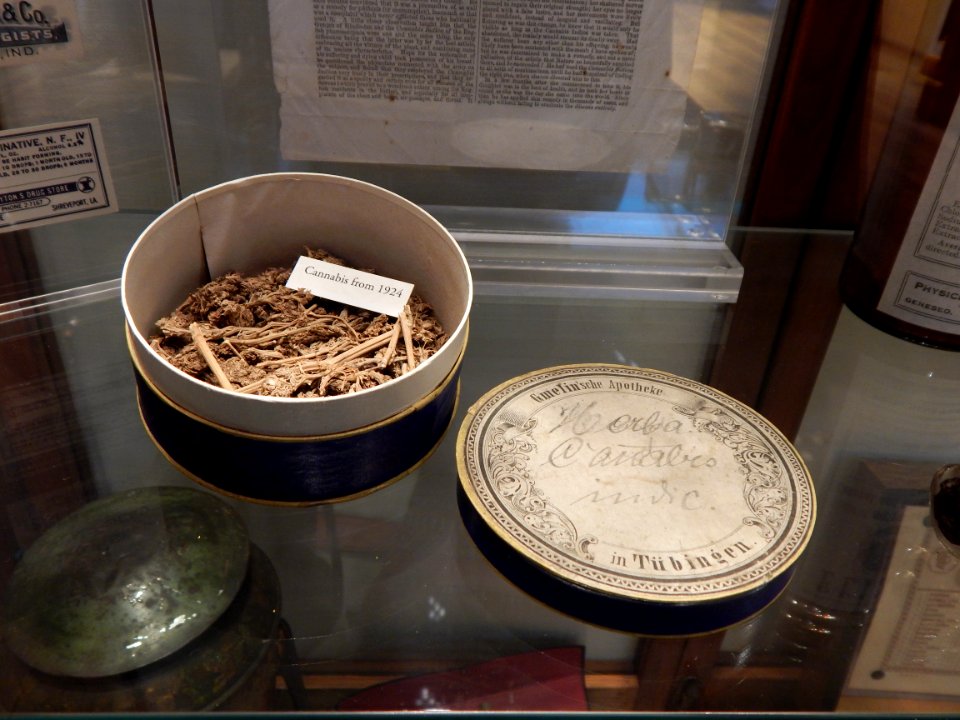 Lto-hmhm-cannabis1924