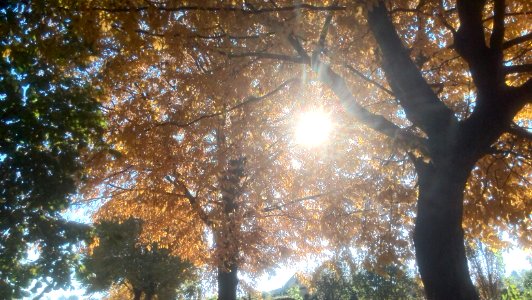 Lto-goldener-oktober-wiesental-02