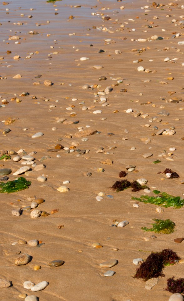 Low tide Les Portes-en-Ré Charente Maritime