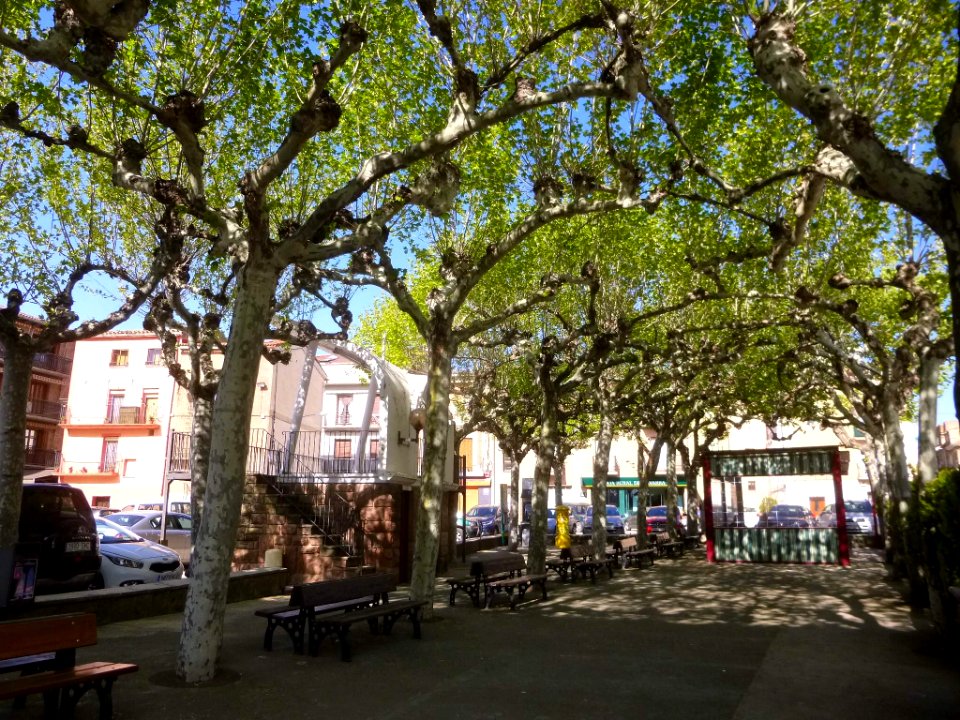 Los Arcos - Plaza del Coso 2