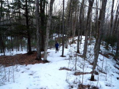Lost Lake Esker on Ice Age Trail Medford Wisconsin