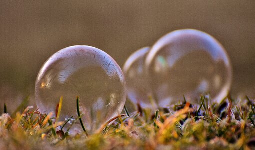 Frozen bubble cold wintry